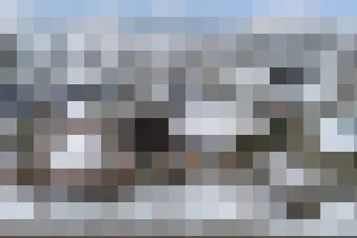 Finne 16 Britsum thumbnail 55