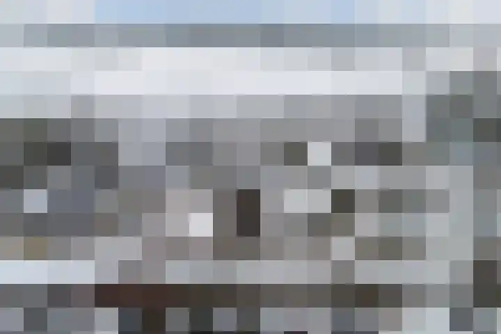 Finne 16 Britsum thumbnail 56