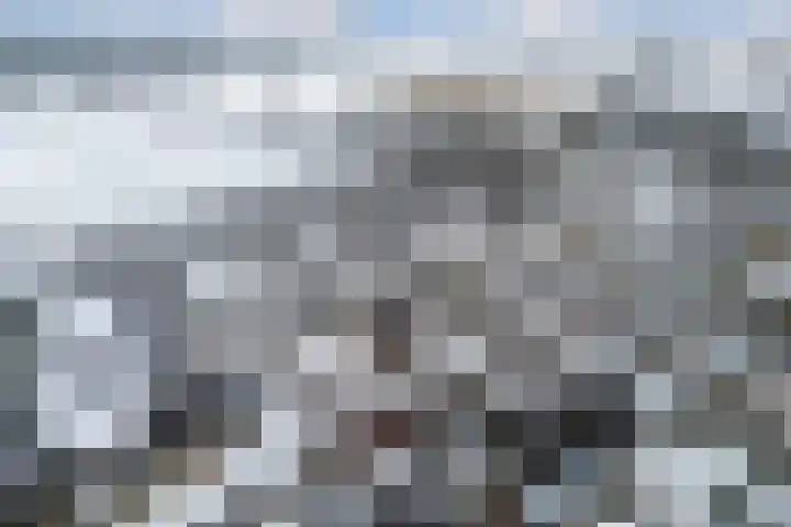 Finne 16 Britsum thumbnail 57