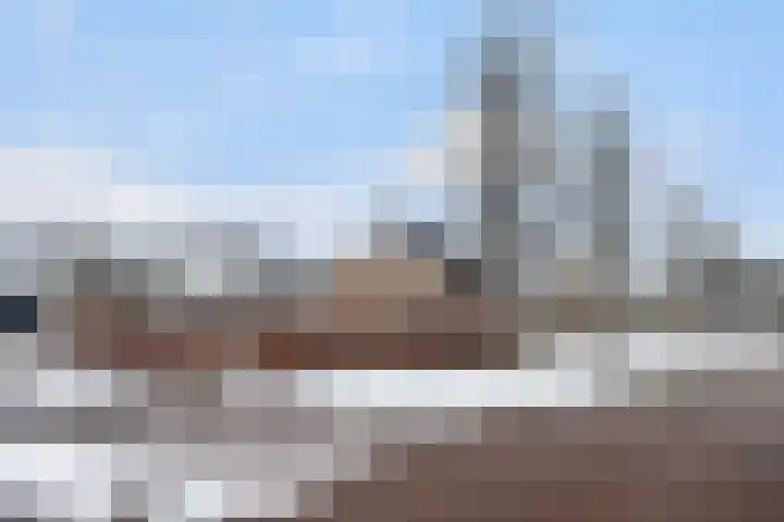 Finne 16 Britsum thumbnail 58