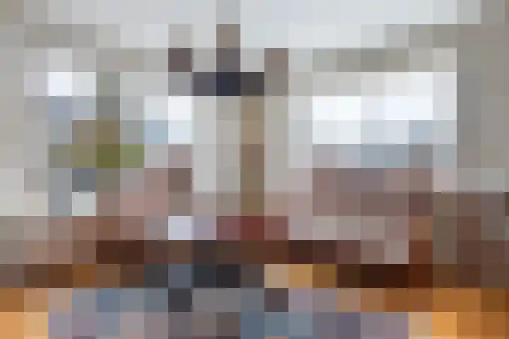 Finne 16 Britsum thumbnail 6