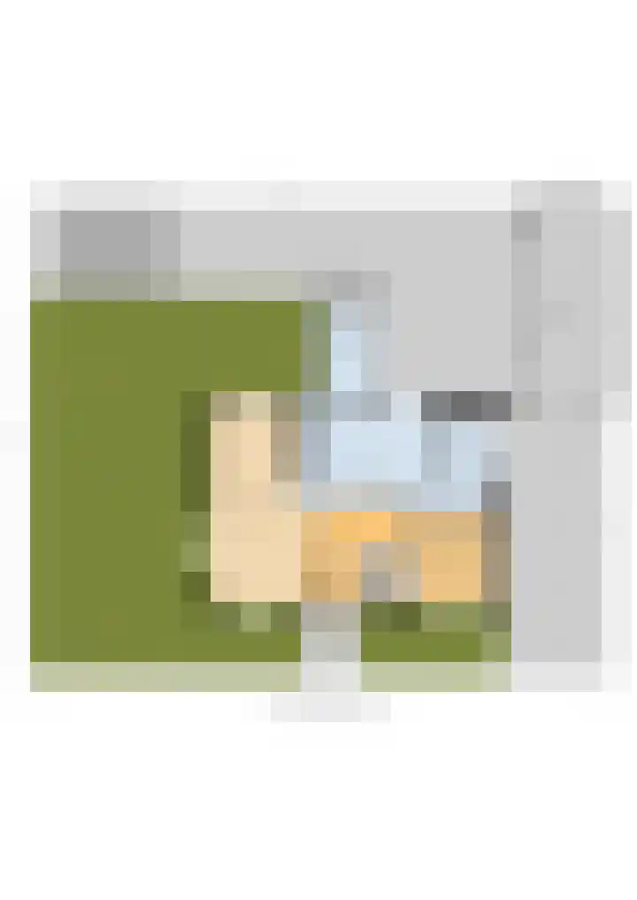 Finne 16 Britsum thumbnail 66