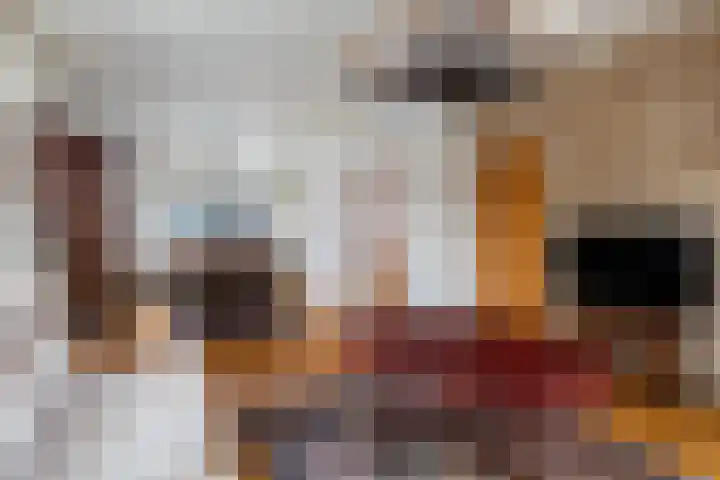 Finne 16 Britsum thumbnail 7