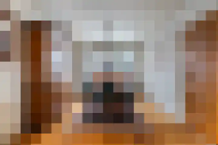 Finne 16 Britsum thumbnail 8
