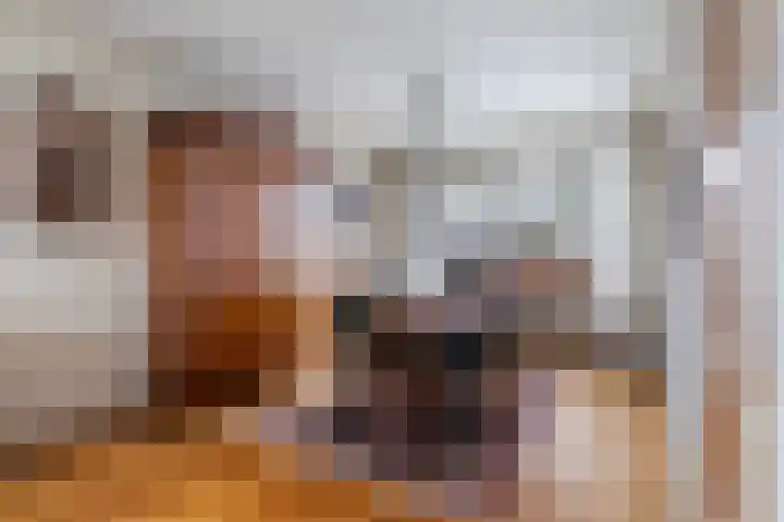 Finne 16 Britsum thumbnail 9