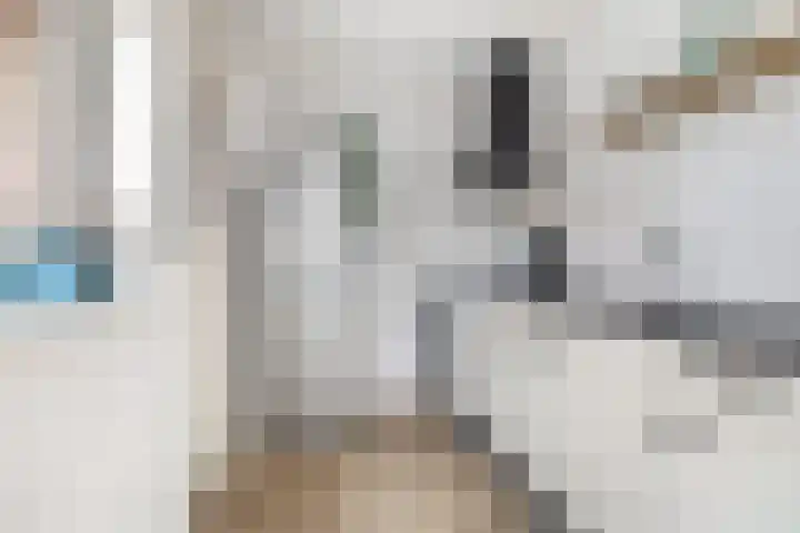 Finne 40 Hallum thumbnail 10