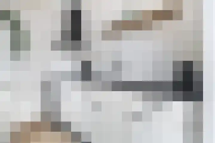 Finne 40 Hallum thumbnail 11