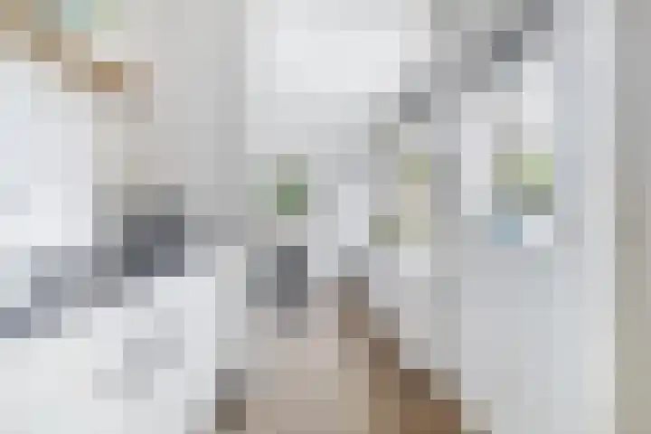 Finne 40 Hallum thumbnail 12