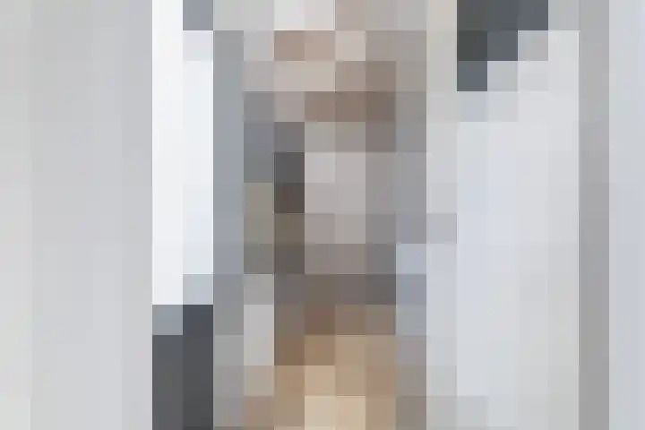 Finne 40 Hallum thumbnail 13