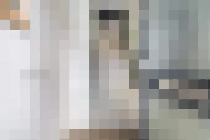 Finne 40 Hallum thumbnail 16