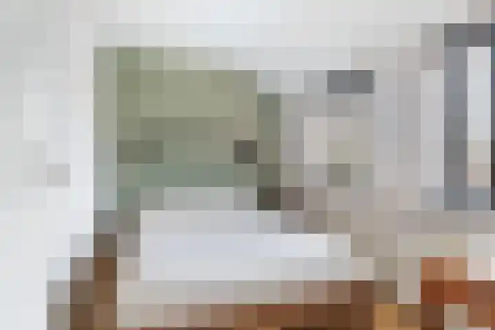 Finne 40 Hallum thumbnail 19