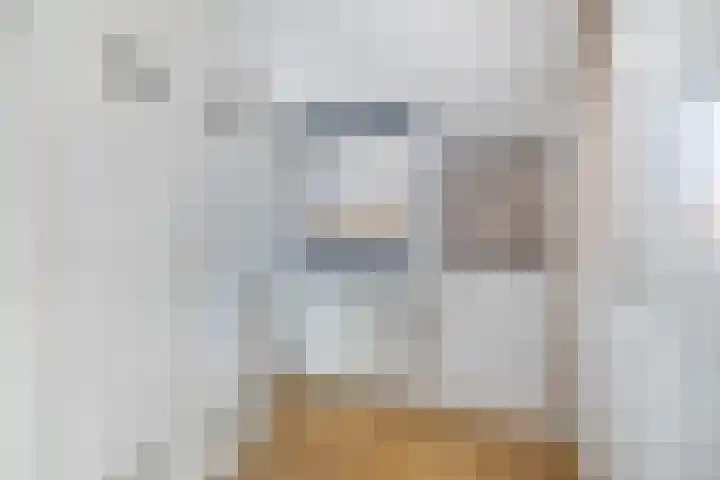 Finne 40 Hallum thumbnail 23