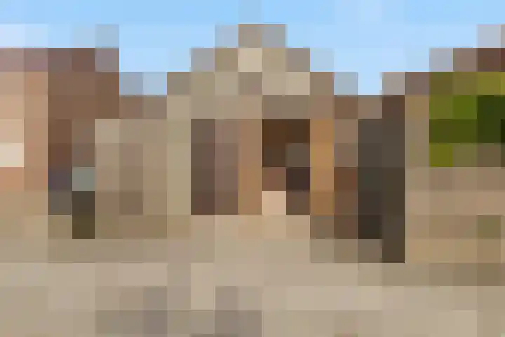 Finne 40 Hallum thumbnail 27