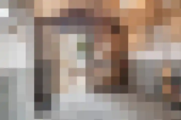 Finne 40 Hallum thumbnail 28