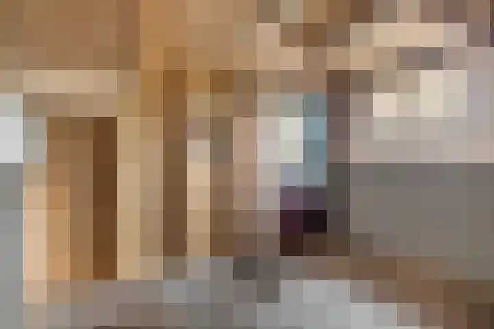 Finne 40 Hallum thumbnail 29