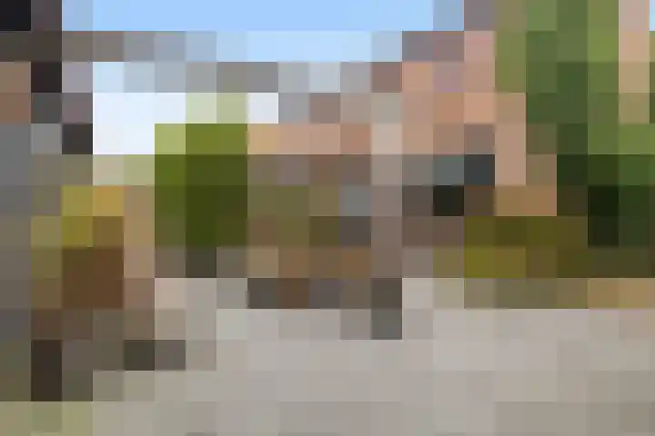 Finne 40 Hallum foto 3
