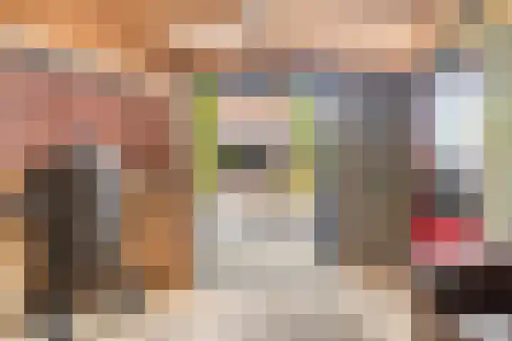 Finne 40 Hallum thumbnail 31