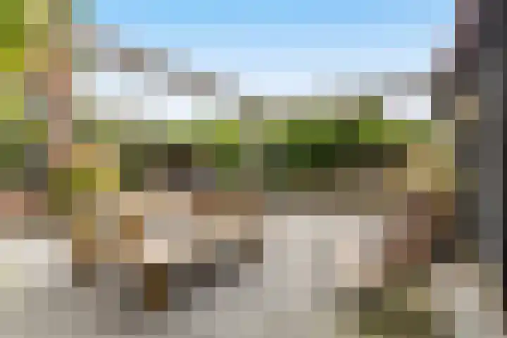 Finne 40 Hallum thumbnail 32