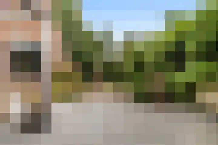 Finne 40 Hallum thumbnail 33
