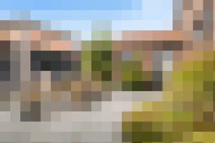 Finne 40 Hallum thumbnail 34