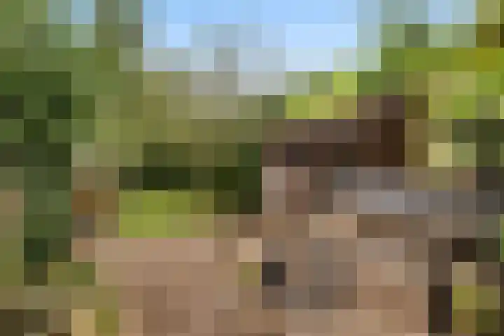 Finne 40 Hallum thumbnail 35