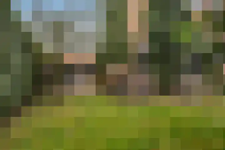 Finne 40 Hallum thumbnail 36