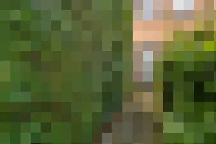 Finne 40 Hallum thumbnail 37