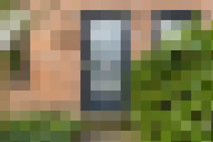 Finne 40 Hallum thumbnail 38