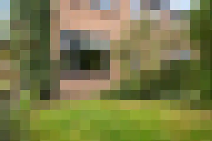 Finne 40 Hallum thumbnail 39