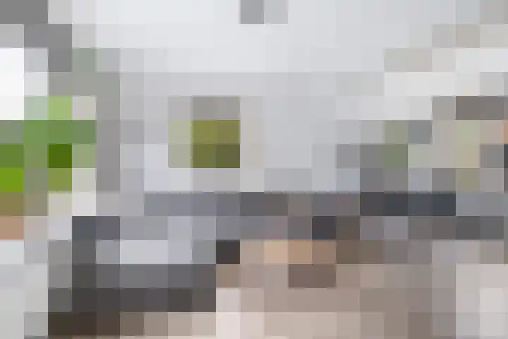 Finne 40 Hallum thumbnail 4