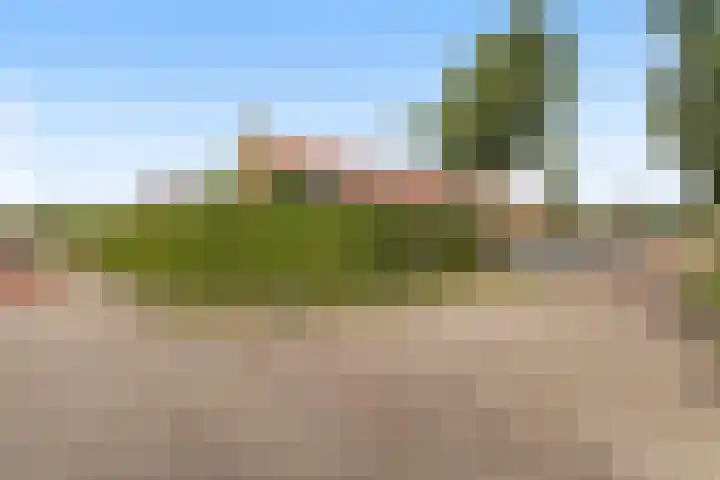 Finne 40 Hallum thumbnail 40