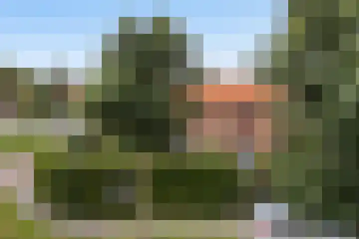 Finne 40 Hallum thumbnail 41