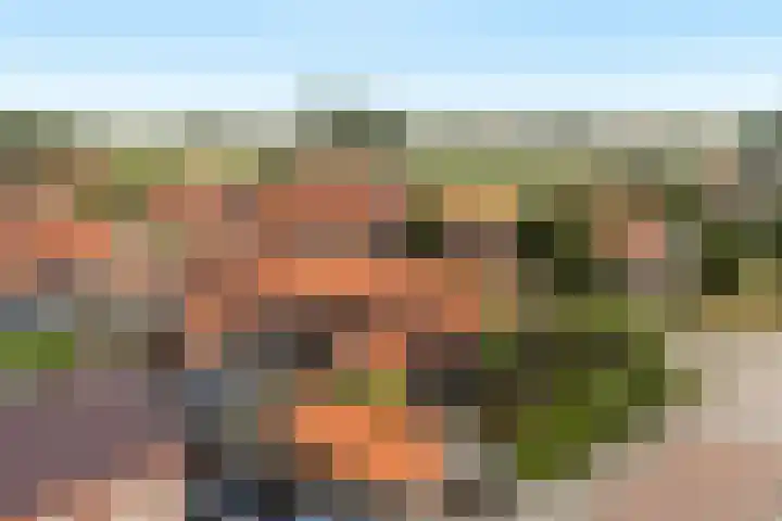 Finne 40 Hallum thumbnail 44