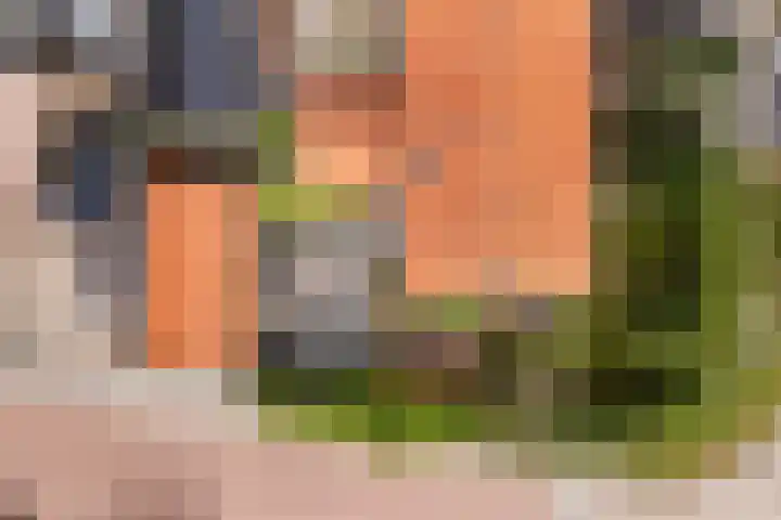 Finne 40 Hallum thumbnail 45