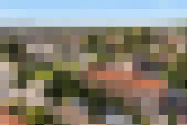 Finne 40 Hallum thumbnail 46
