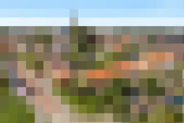 Finne 40 Hallum thumbnail 47