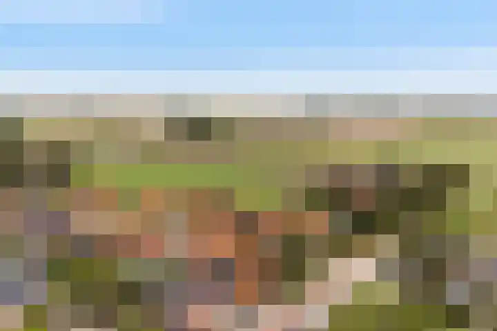 Finne 40 Hallum thumbnail 48