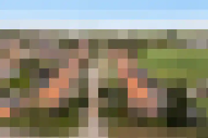 Finne 40 Hallum thumbnail 49
