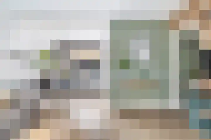 Finne 40 Hallum thumbnail 5