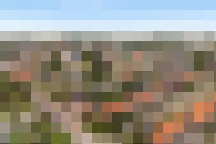 Finne 40 Hallum thumbnail 50
