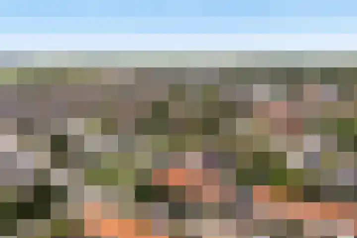 Finne 40 Hallum thumbnail 51