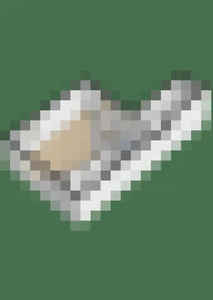 Finne 40 Hallum thumbnail 53