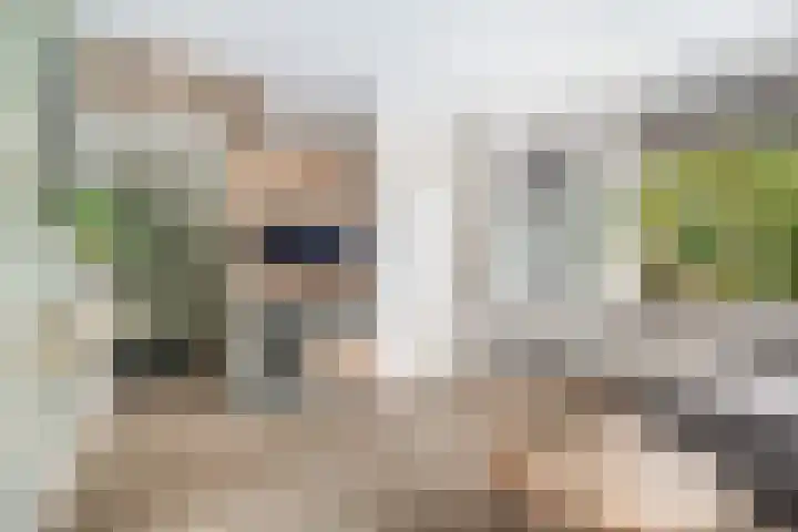 Finne 40 Hallum thumbnail 6