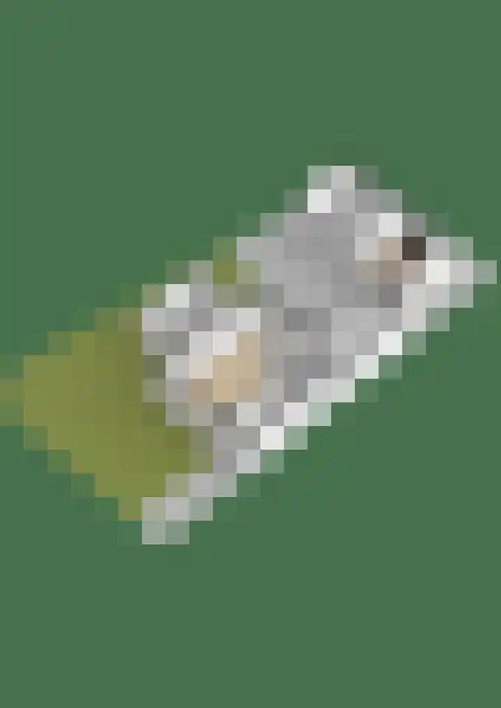 Finne 40 Hallum thumbnail 63