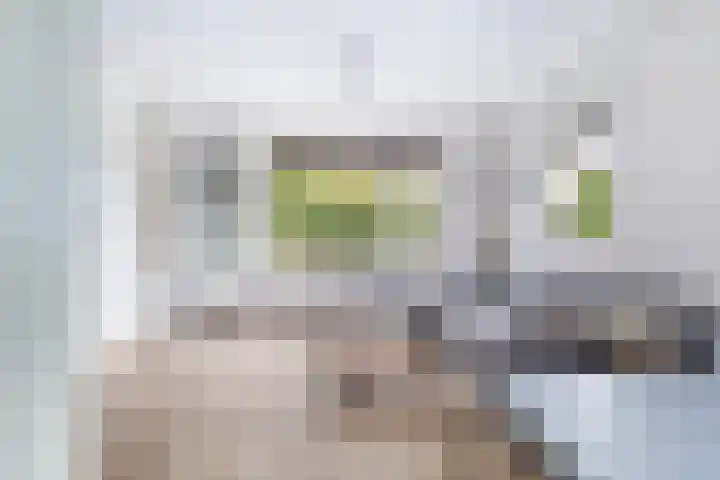 Finne 40 Hallum thumbnail 7