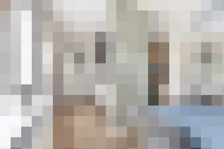 Finne 40 Hallum thumbnail 9