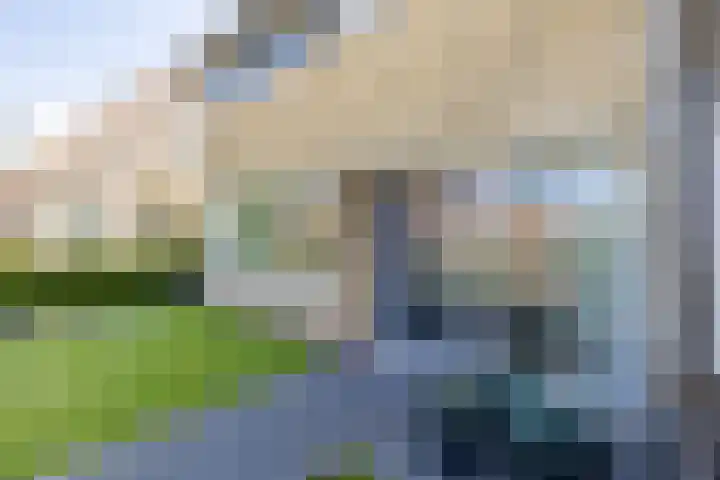 Finne 48 Britsum thumbnail 12