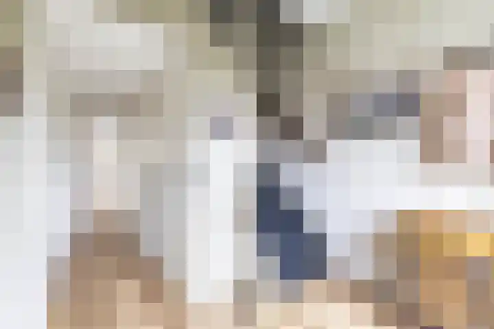 Finne 48 Britsum thumbnail 13