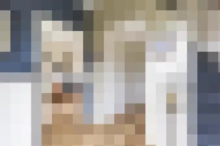 Finne 48 Britsum thumbnail 14