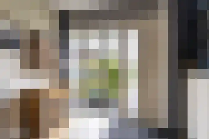Finne 48 Britsum thumbnail 17